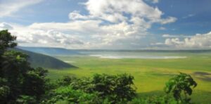 SERENGETI HOUSE OF NATURE 