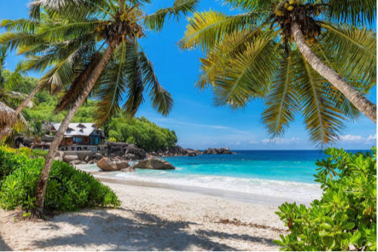 Tanzania Beach Holidays: A Complete Guide to Zanzibar, Mafia Island, and the Swahili Coast